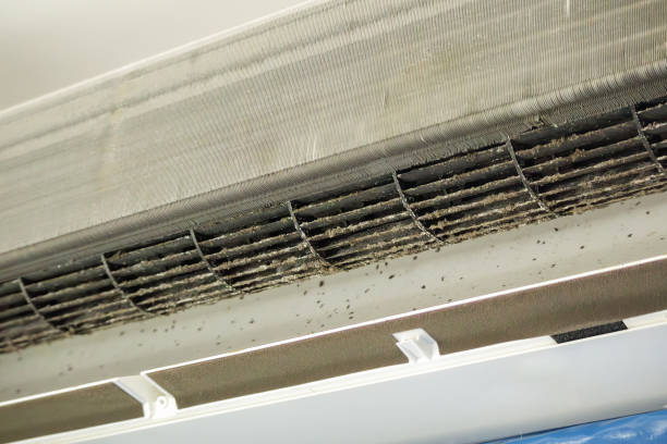 Best Air Duct Mold Removal  in North York, PA